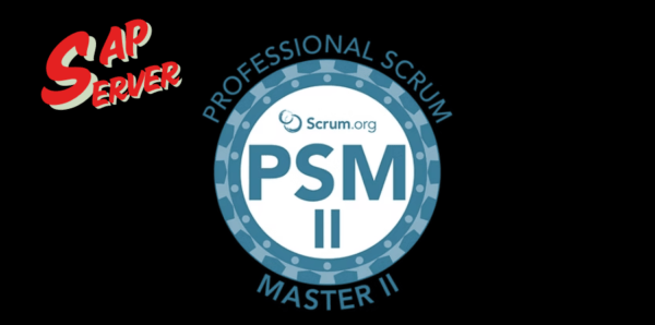 Professional Scrum Master (PSM)