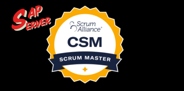 Certified Scrum Master (CSM) Certification Training Course Online