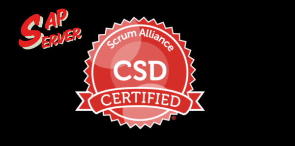 Certified Scrum Developer (CSD) Certification Training